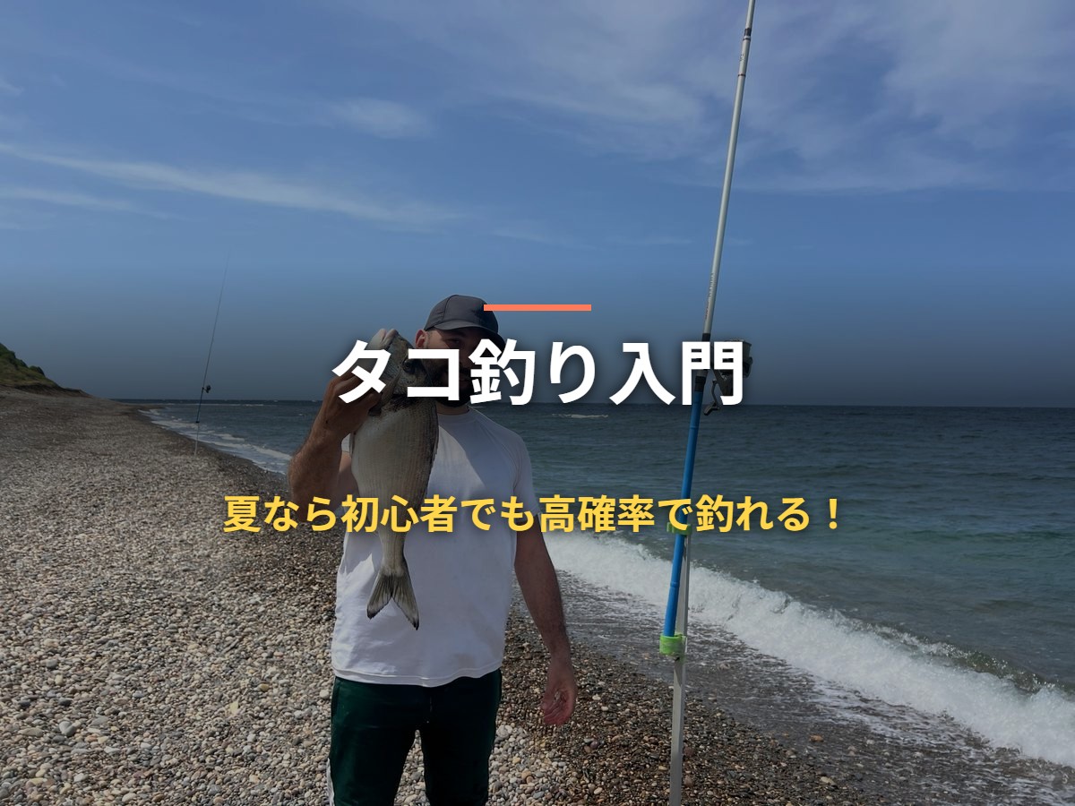 タコ釣り入門 夏なら初心者でも高確率で釣れる！