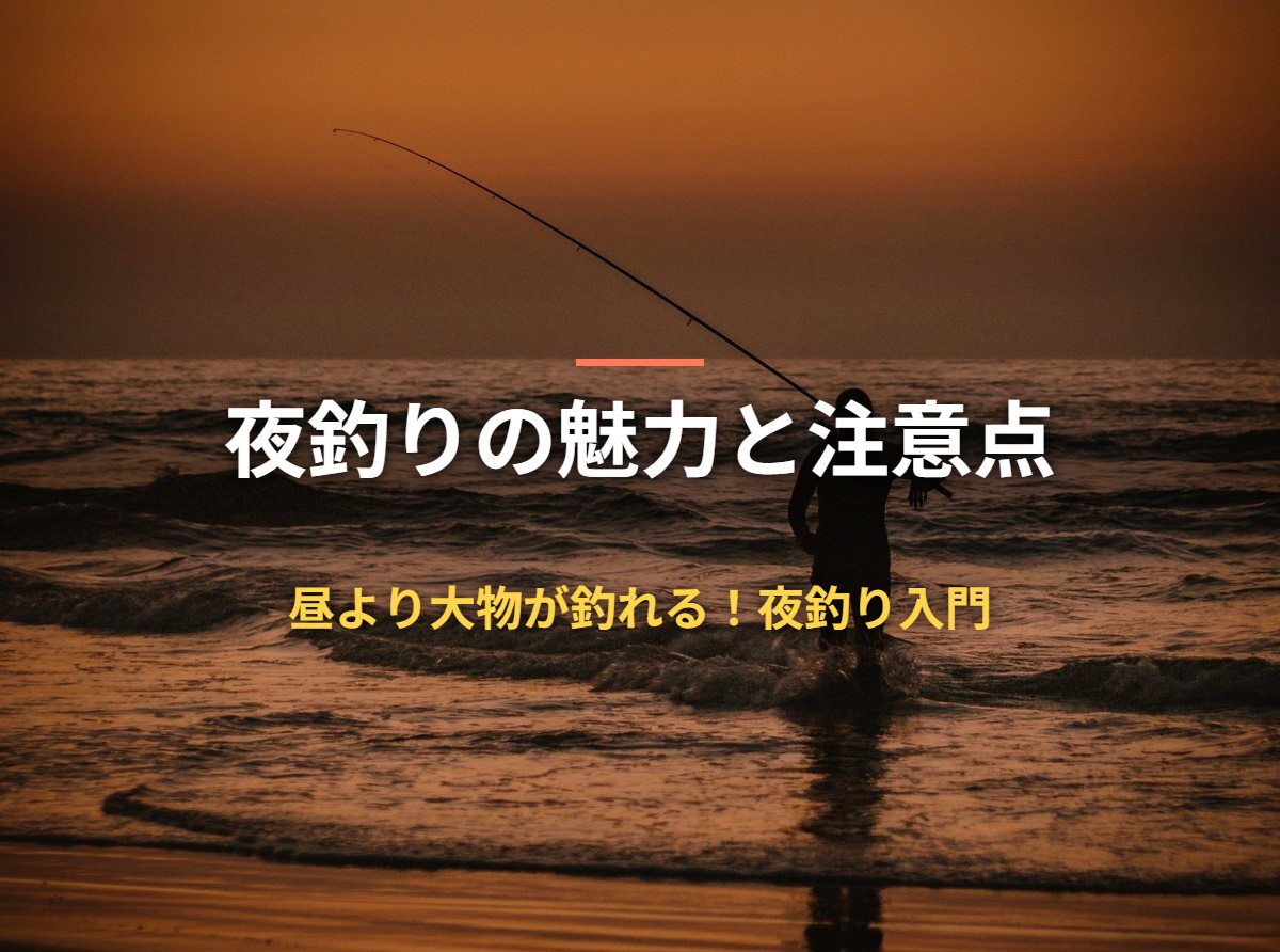 夜釣りの魅力と注意点 昼より大物が釣れる！夜釣り入門