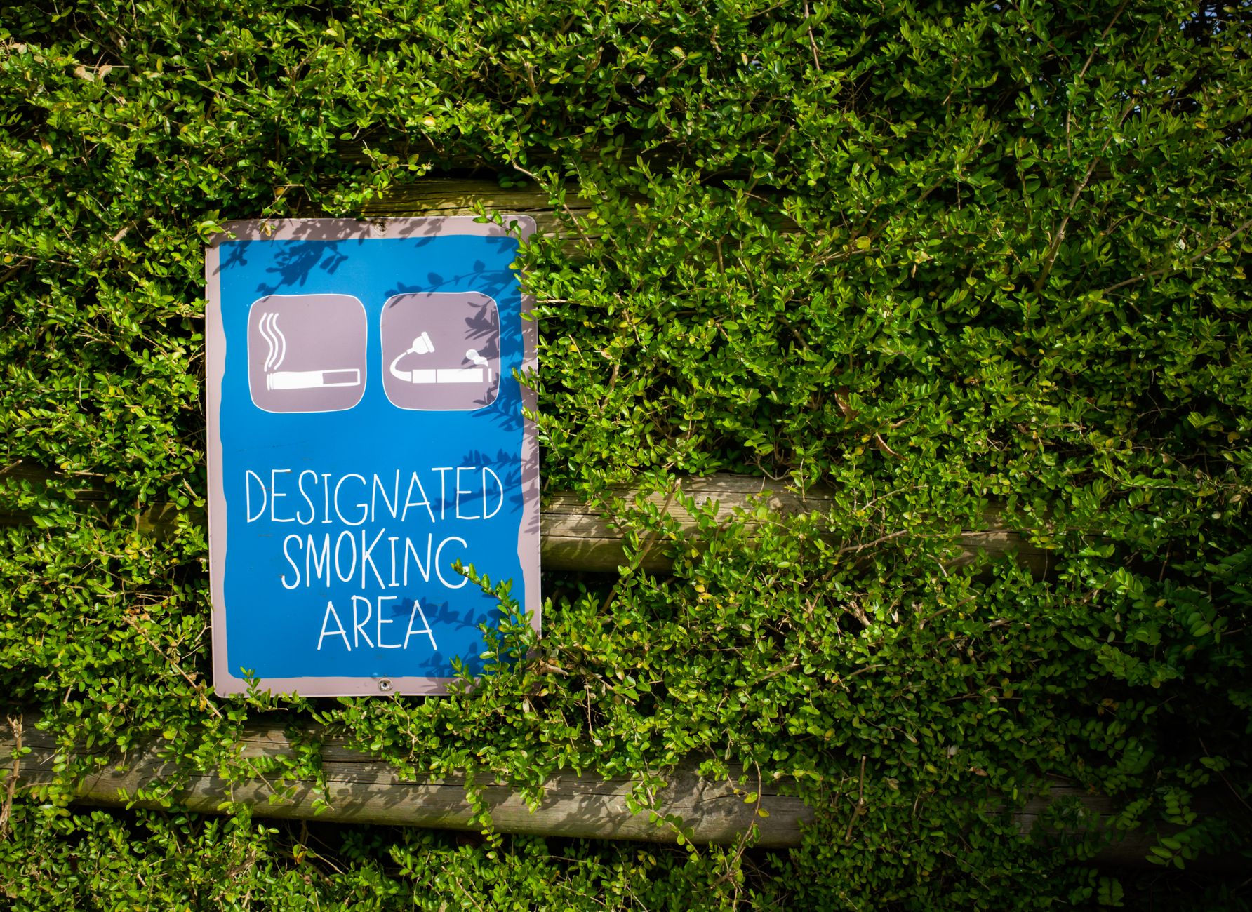 designated smoking area sign in greenery