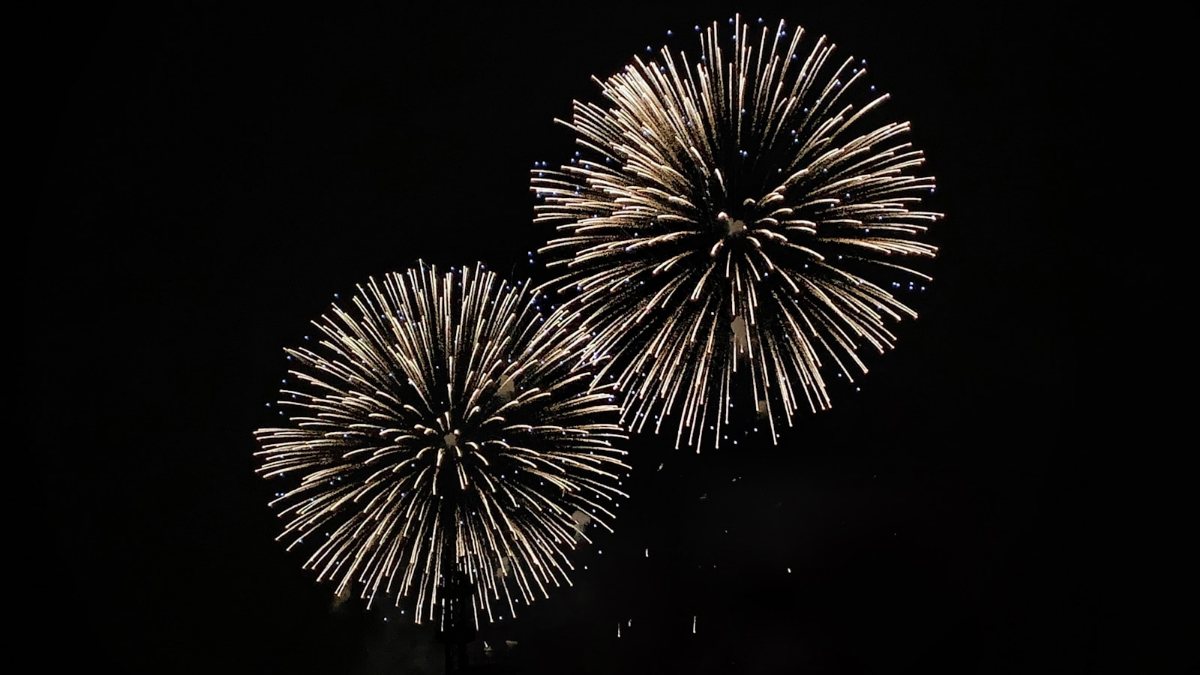 暗い夜空に開く黄色い花火